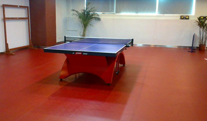 乒乓球運動地板的特性及其在健身休閑活動中的重要性