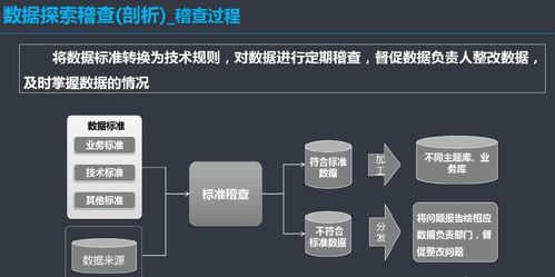 構(gòu)建高效數(shù)據(jù)治理體系 信息系統(tǒng)集成服務(wù)視角下的實施方案