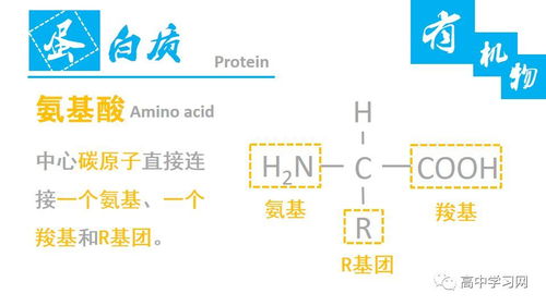 高中生物中的無機物和有機物基礎知識梳理