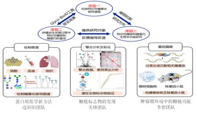 我校5人獲省杰青項目資助、4支團隊入選省重點科技創新團隊