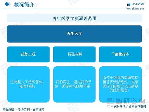 再生醫(yī)學(xué)行業(yè)前景如何 先進(jìn)醫(yī)療技術(shù)需求增長,全球市場規(guī)模加速擴容
