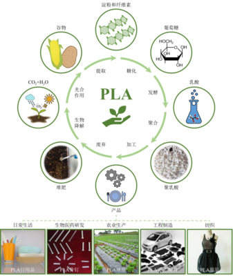 丁建勛 李鴻杰 楊佳臻(中國科學(xué)院長(zhǎng)春應(yīng)用化學(xué)研究所):新時(shí)代生物質(zhì)降解材料聚乳酸,助力綠色環(huán)保的&ldquo;未來之鑰&rdquo;_作品展示